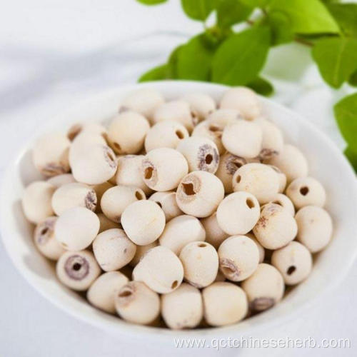 Natural High Quality Lotus Seed